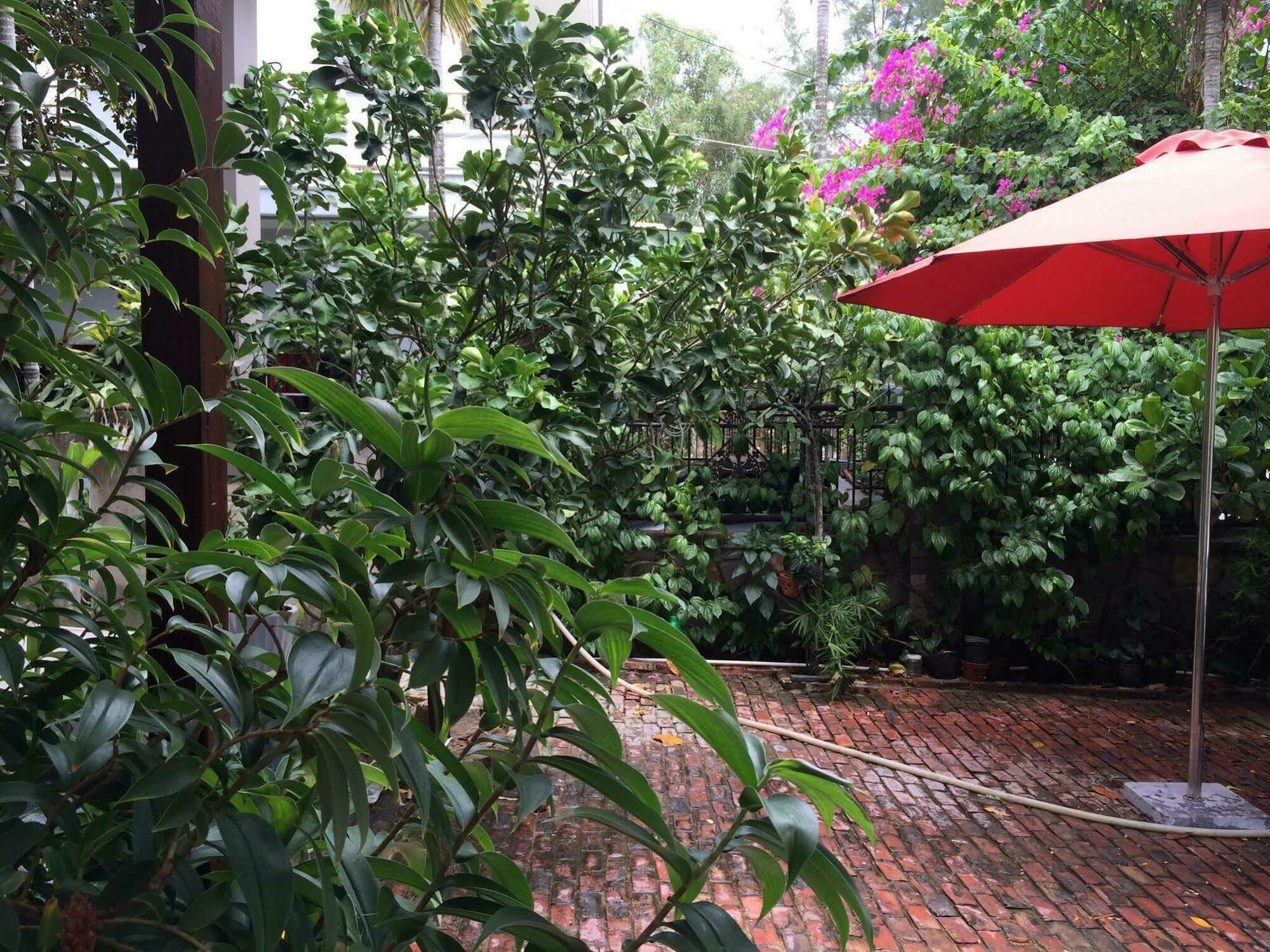 Mama'S House Hoi An Homestay المظهر الخارجي الصورة